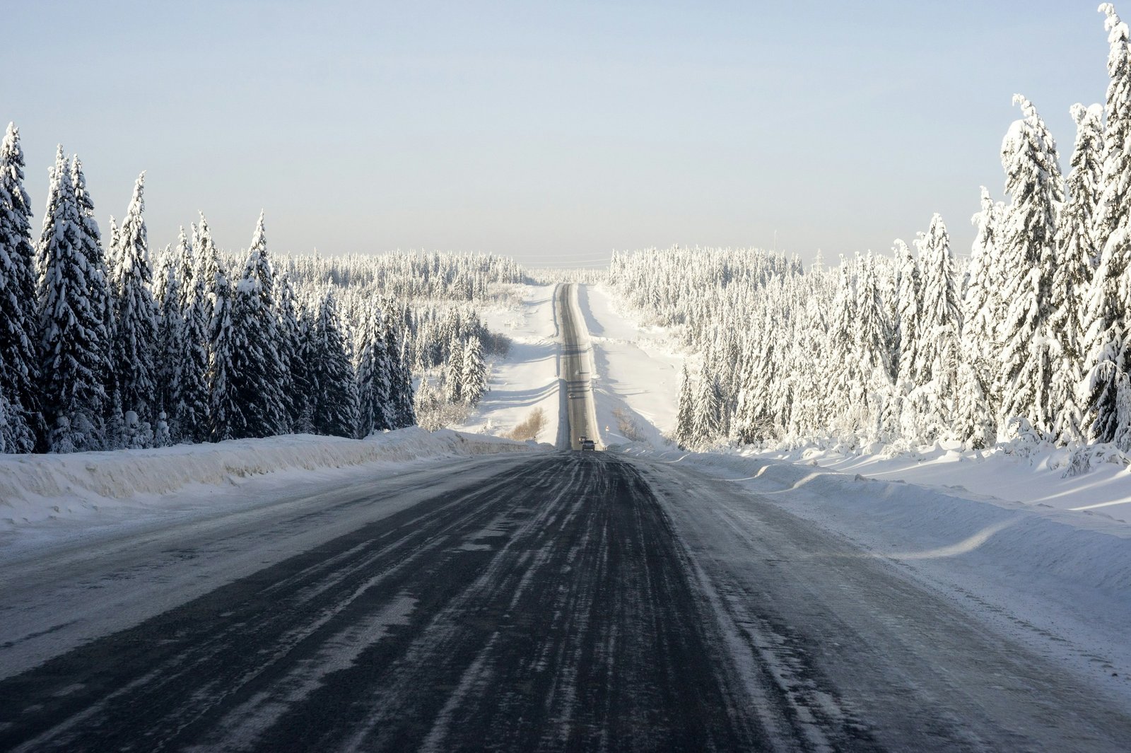 Arctic Affair