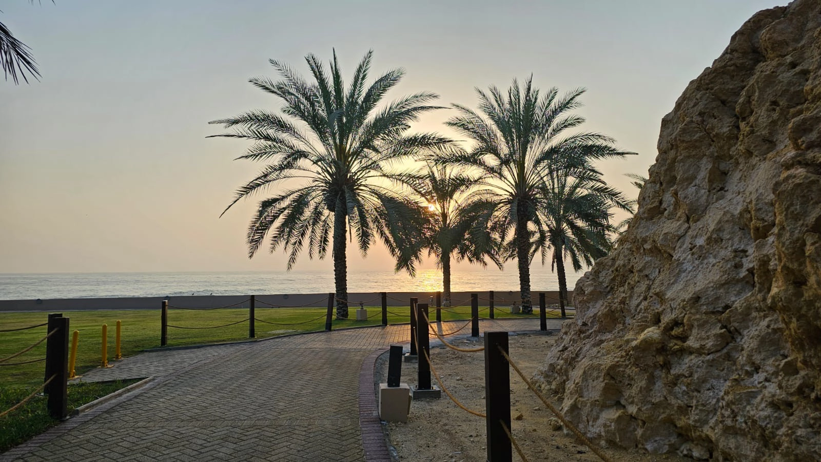 OMAN Memory 7