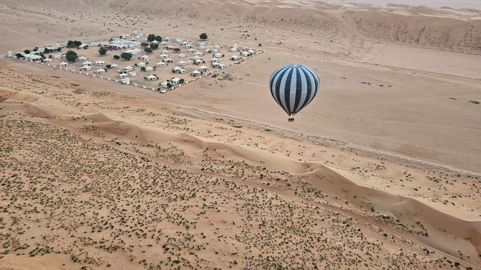 OMAN Memory 8