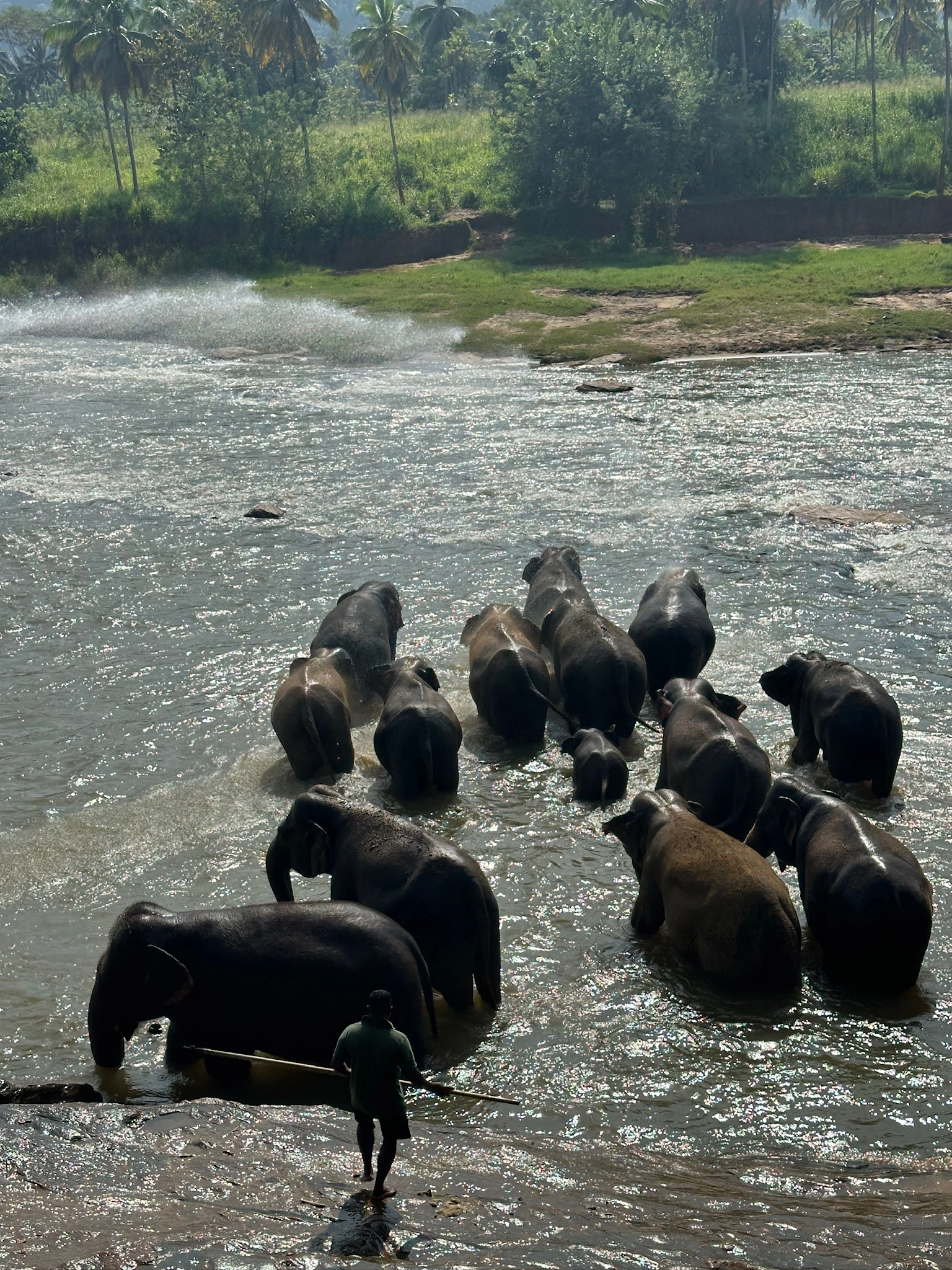 SRI LANKA Memory 7