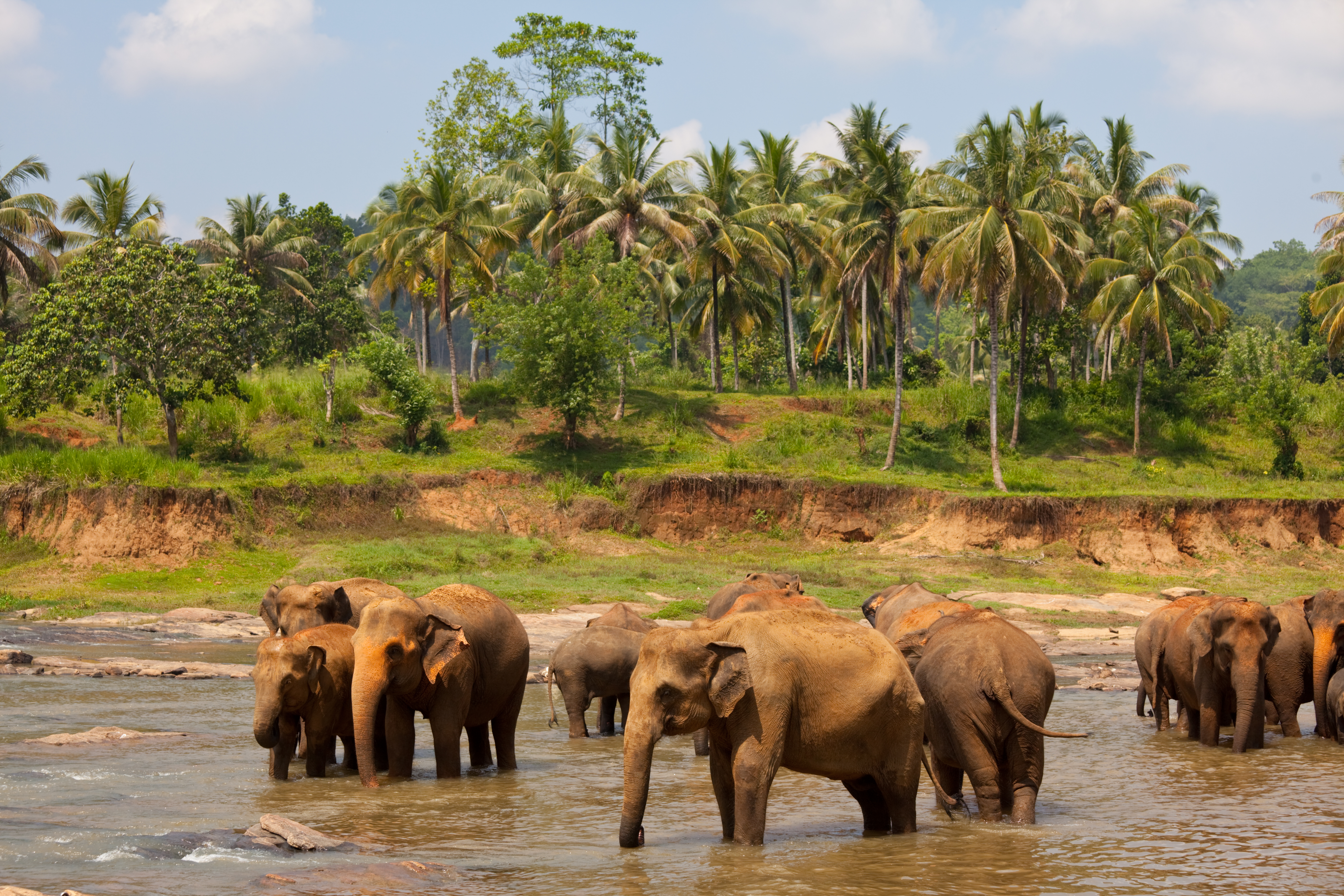 SRI LANKA Memory 14